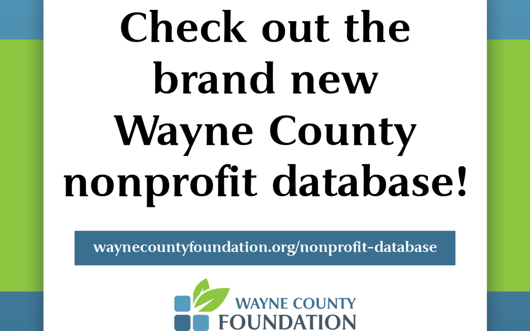 Foundation Launches Nonprofit Database