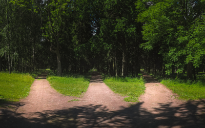 Three paths to purposeful giving, with or without heirs