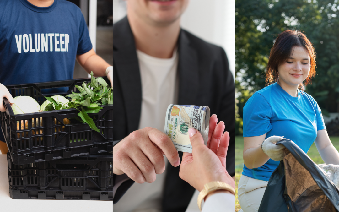 What type of donor are you? 